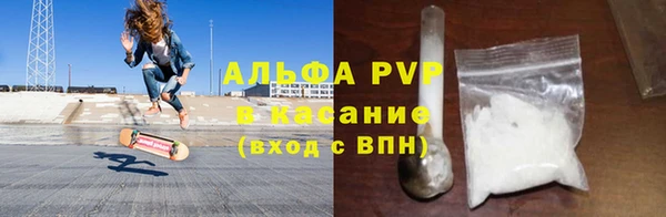 ПСИЛОЦИБИНОВЫЕ ГРИБЫ Каменногорск
