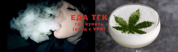 сатива Каменка