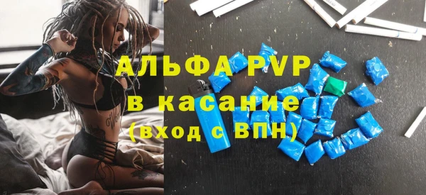 сатива Каменка
