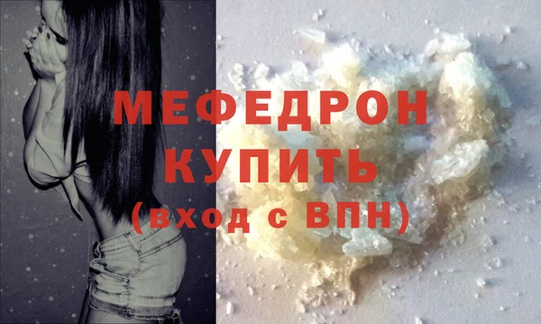 сатива Каменка