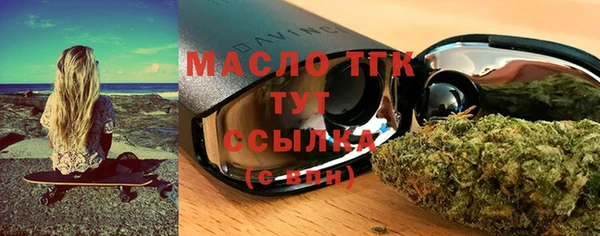 сатива Каменка