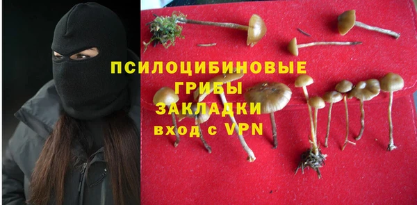 сатива Каменка