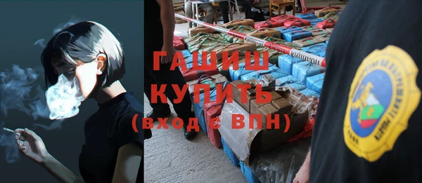 сатива Каменка