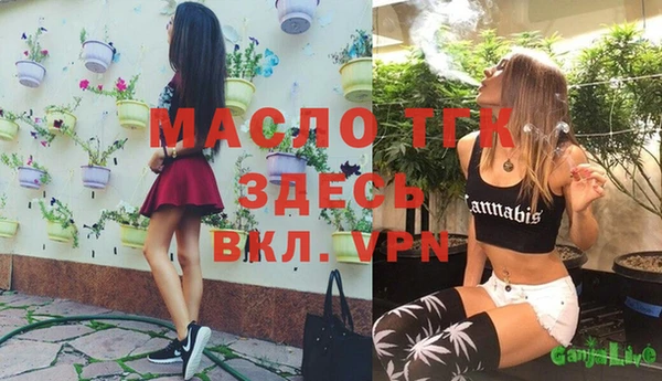 сатива Каменка