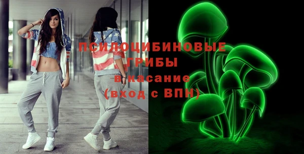 ПСИЛОЦИБИНОВЫЕ ГРИБЫ Каменногорск